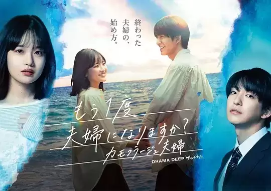 电视剧《要再做一次夫妇吗？～伪装夫妇～》剧情介绍