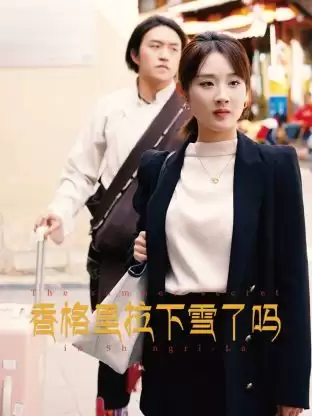 电视剧《香格里拉下雪了吗》剧情介绍