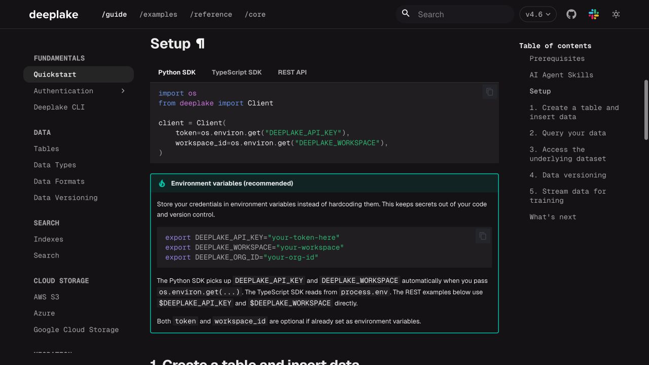 Deep Lake 官方文档展示 Python Client 与环境变量配置