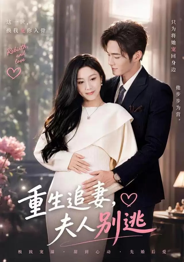 短剧《重生追妻，夫人别逃》剧情介绍