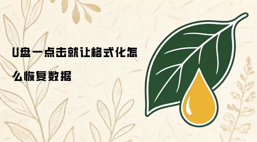 U盘一点击就要求格式化 如何恢复数据