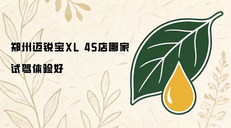 郑州迈锐宝XL 4S店试驾体验哪家好