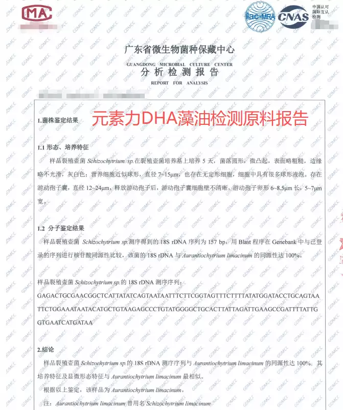 青少年DHA藻油增强记忆力：2026年青少年DHA藻油品牌推荐指南