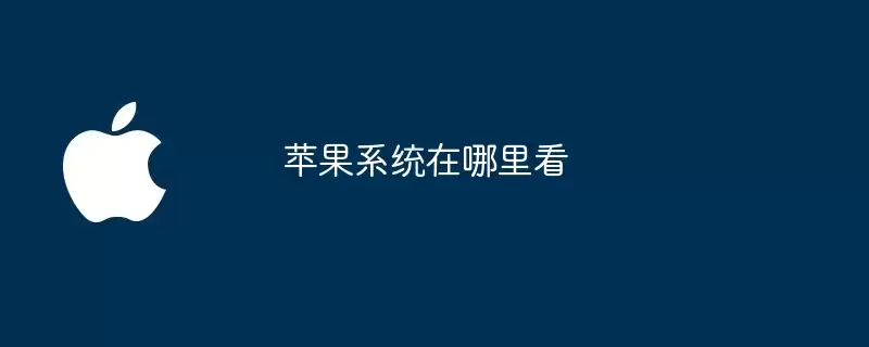 苹果系统哪里查看