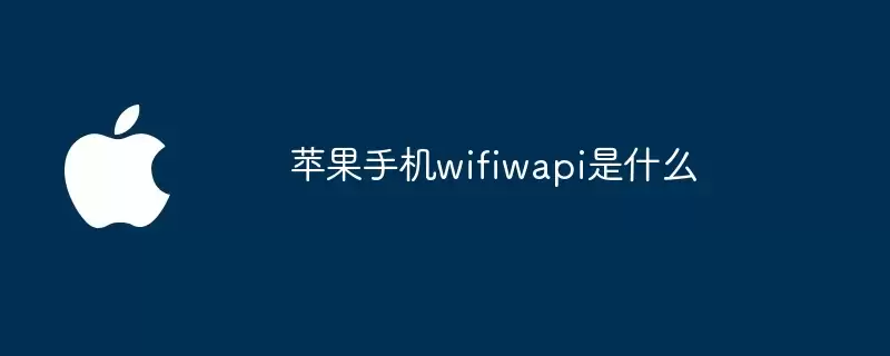 苹果手机wifiwapi指什么