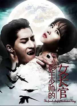 《影王少帅的女长官》电影剧情介绍
