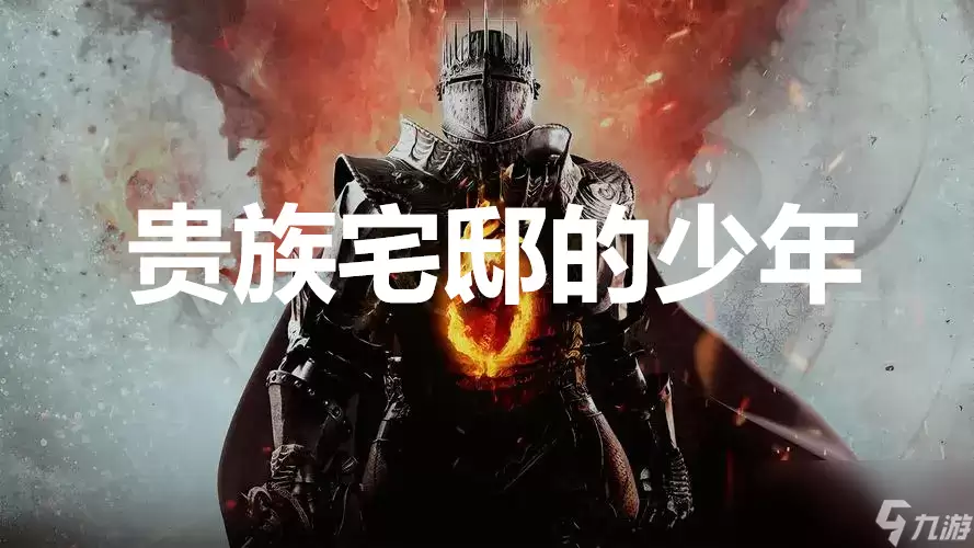《龙之信条2》支线任务贵族宅邸的少年怎样完成