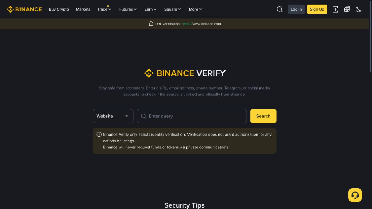 Binance Verify 官方验证页,可见网址类型选择框、查询输入框和搜索按钮