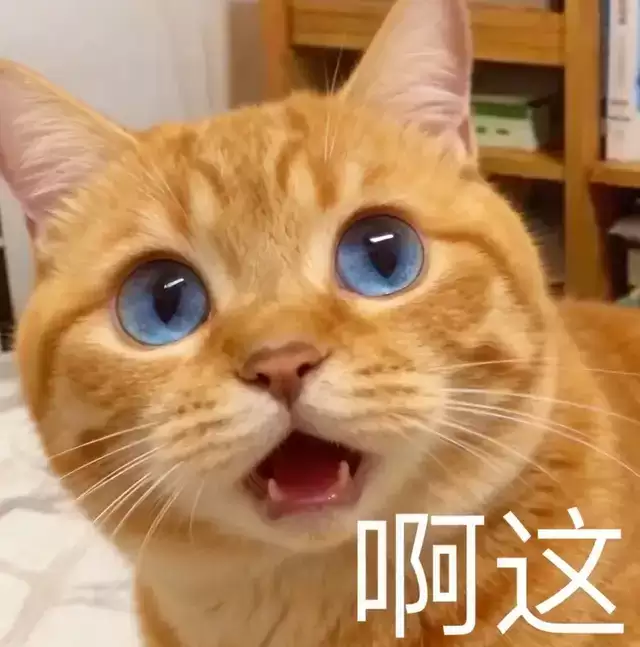 机器人为何困在Demo 讯飞新公司爻方智能给出答案 缺一味「本体认知」