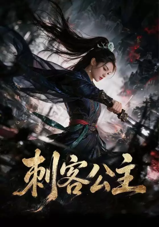 短剧《刺客公主》剧情介绍
