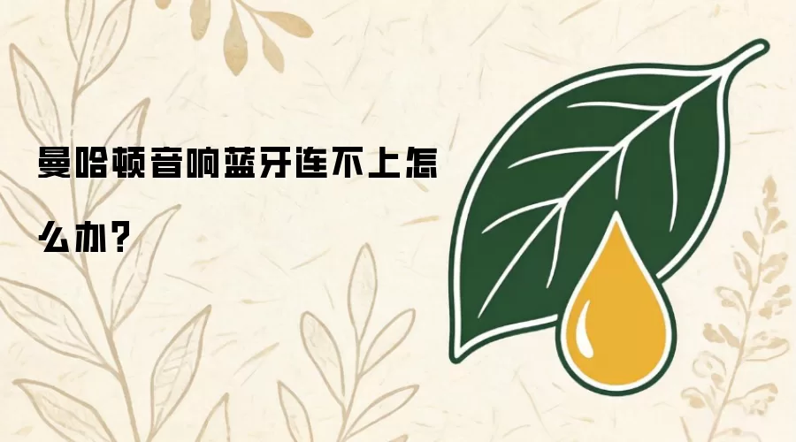 曼哈顿音响蓝牙连不上如何解决