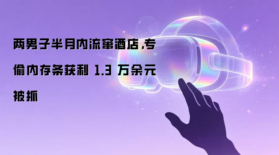 两男子半月内流窜酒店：专偷内存条获利 1.3 万余元被抓