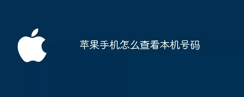 苹果手机如何查看本机号码