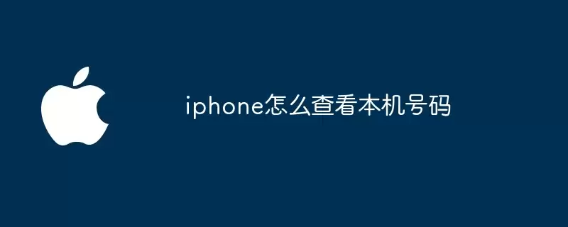 iphone如何查看本机号码