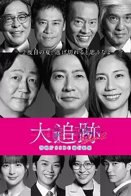 电视剧《大追踪 警视厅SSBC强行犯系 第二季》剧情介绍