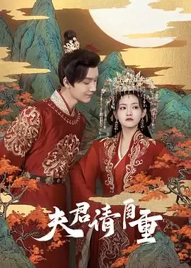 剧情介绍 电视剧《夫君，请自重》