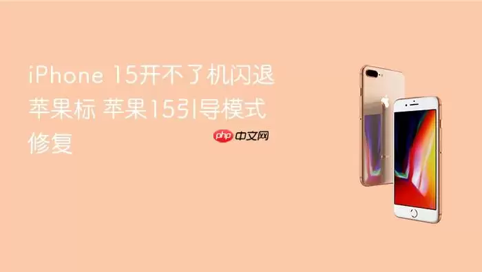 iPhone 15开不了机闪退苹果标 苹果15引导模式修复