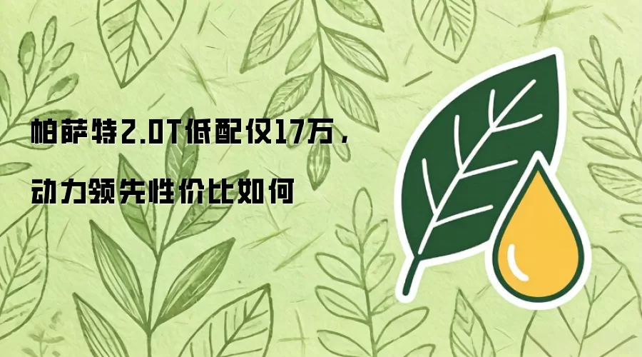 帕萨特2.0T低配仅17万：动力领先性价比如何