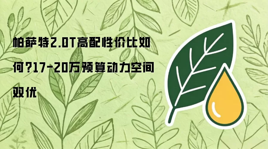 帕萨特2.0T高配性价比如何:17-20万预算动力空间双优