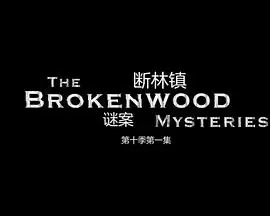 电视剧《断林镇谜案第十季》剧情介绍