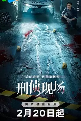 电视剧《刑侦现场》剧情介绍