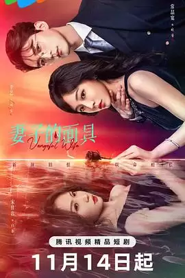 电视剧《妻子的面具》剧情介绍