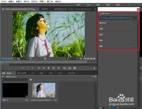 Premiere中如何运用Lumetri效果