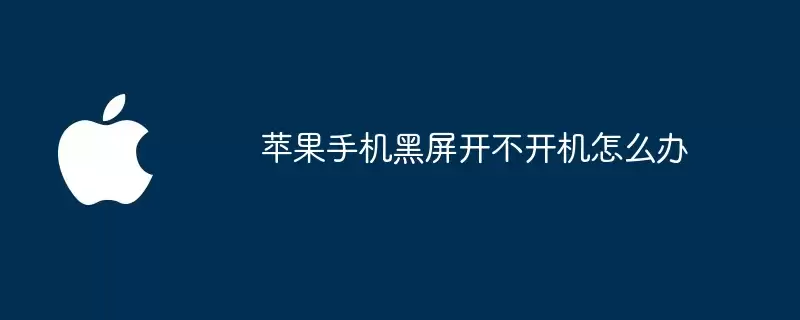 苹果手机黑屏开不了机怎么办