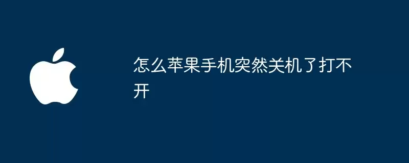 苹果手机怎么突然关机了打不开