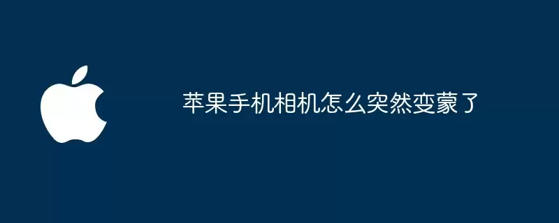 苹果手机相机为何突然变蒙了