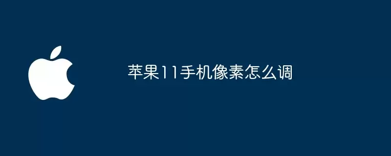 苹果11手机像素怎么设置