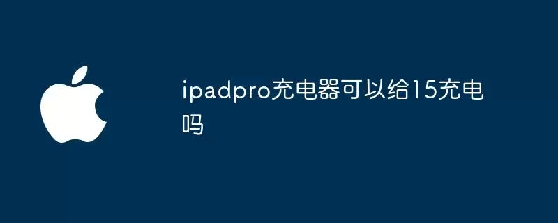ipadpro充电器能给15充电吗