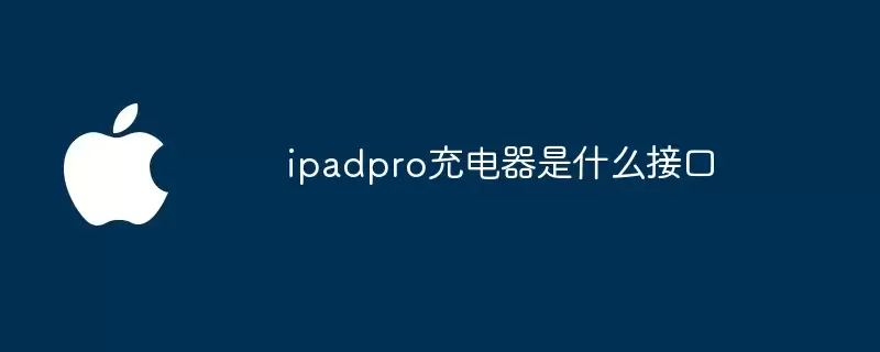 ipadpro充电器接口是什么
