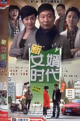 电视剧新女婿时代剧情介绍