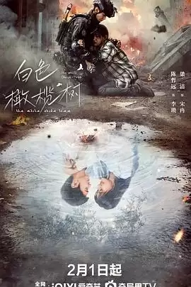 电视剧《白色橄榄树》剧情简介
