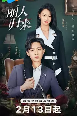 电视剧《丽人归来》剧情简介