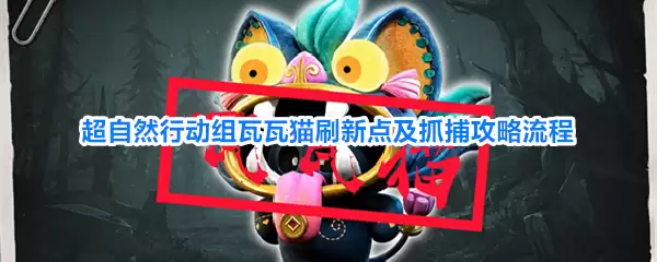 超自然行动组瓦瓦猫刷新点及抓捕全流程指南