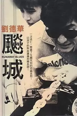 电影《飙城》剧情说明