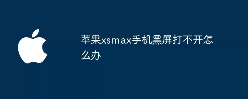 苹果xsmax手机黑屏打不开怎么处理