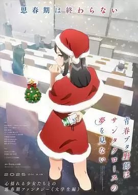 动漫《青春猪头少年不会梦到圣诞服女郎》剧情介绍