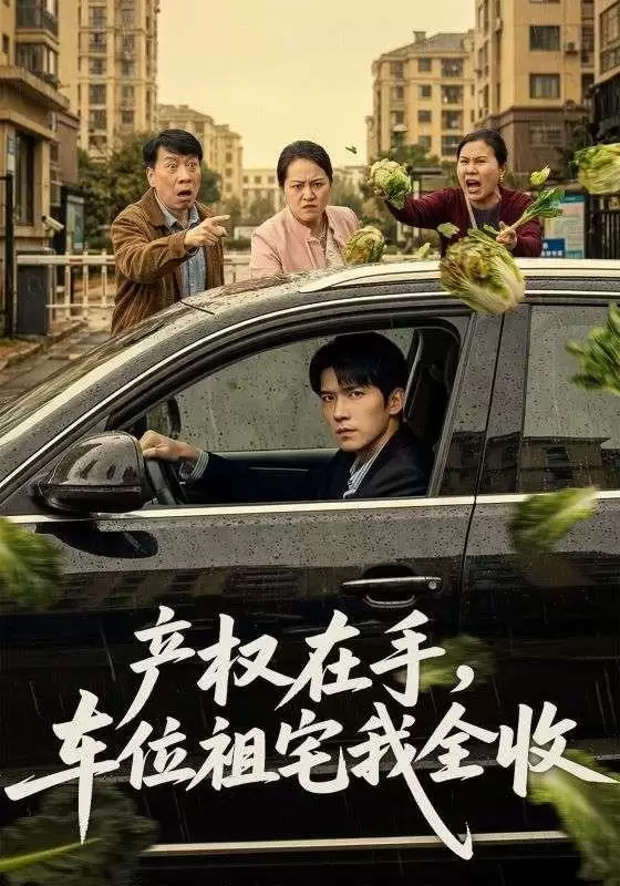 短剧《产权在手，车位祖宅我全收》剧情介绍