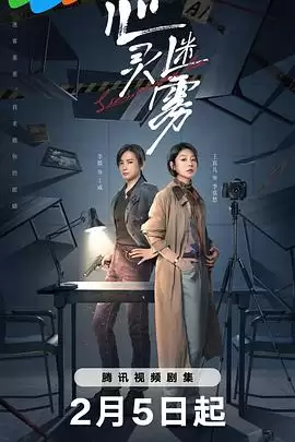 电视剧《心灵迷雾》剧情介绍