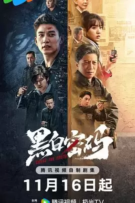 电视剧《黑白密码》剧情介绍