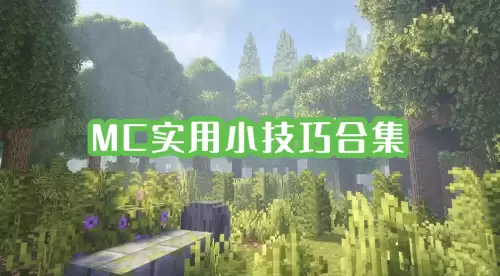 我的世界有哪些小技巧-MC实用小技巧合集 我的世界有哪些小技巧-MC实用小技巧合集