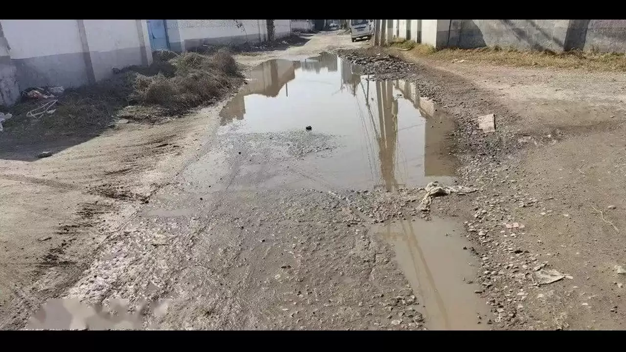 基于YOLO11的道路积水视觉检测：从数据集构建至云上训练实践