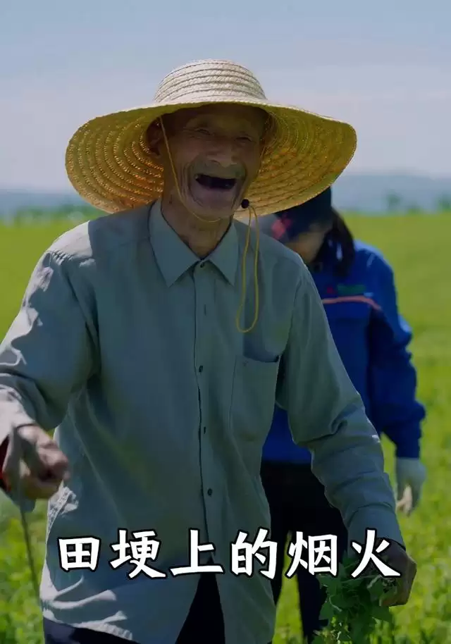 短剧田埂上的烟火剧情介绍