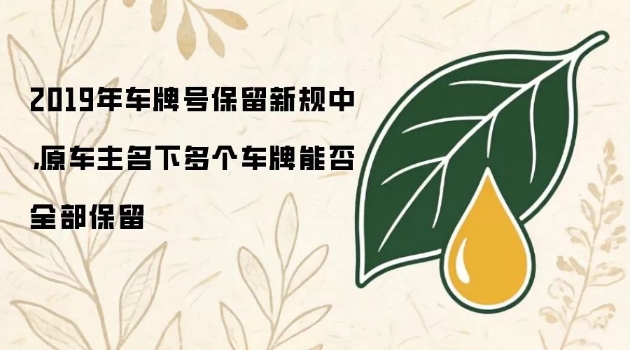 2019年车牌号保留新规里原车主名下多个车牌能否全部保留
