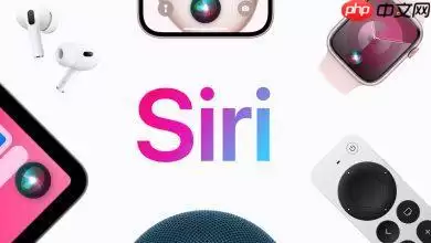 隐私神话破灭？Alphabet高层暗示Gemini版Siri将在Google伺服器运行