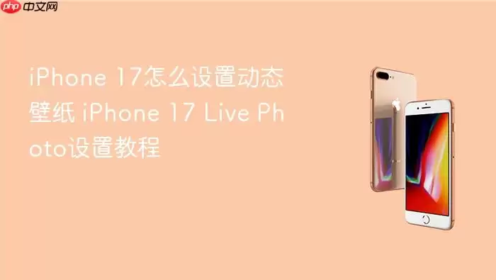 iPhone 17如何设置动态壁纸 iPhone 17 Live Photo设置教程