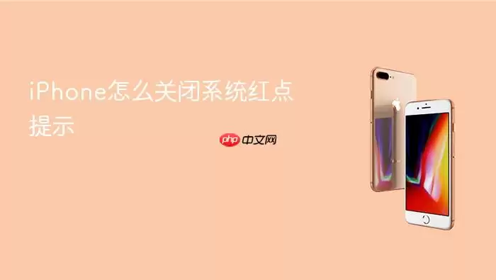 iPhone如何关闭系统红点提示